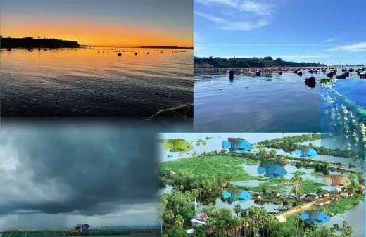 ESTRATÉGIA ][  FAO lança ferramenta para adaptar aquicultura às mudanças climáticas